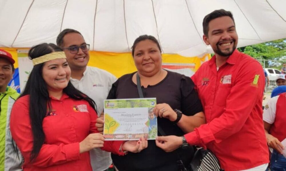 Producción y financiamientos