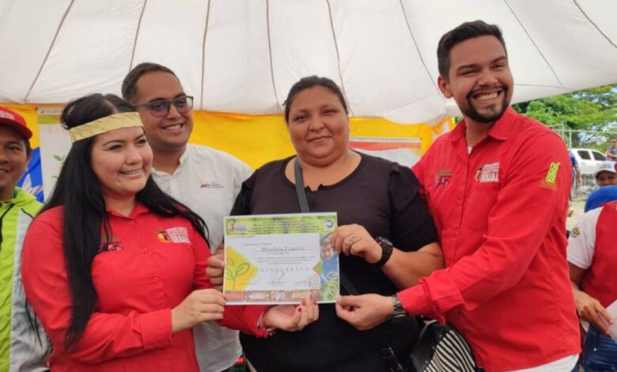 Producción y financiamientos