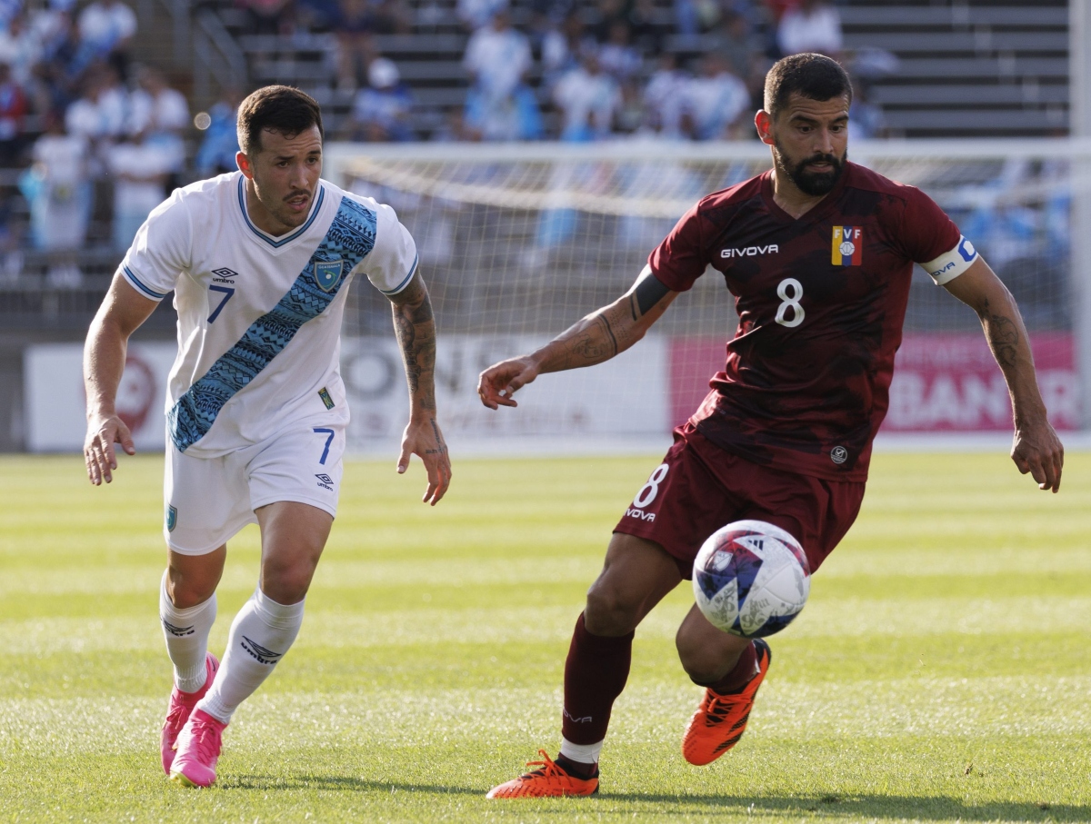 La Vinotinto