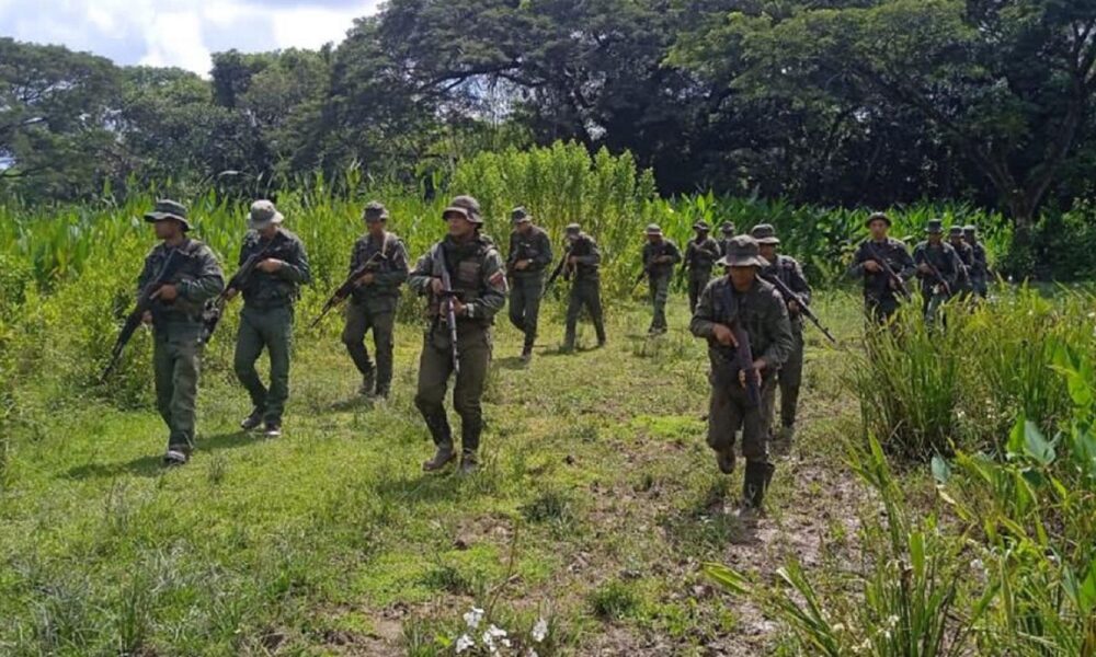 FANB expulsa 12 mil personas irregulares de Yapacana