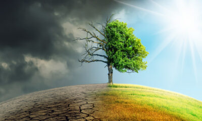 Cambio climático