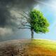 Cambio climático