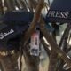 Fuerzas israelíes asesinan a dos comunicadores de Al Mayadeen