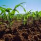 Debaten sobre crisis climática y su efecto en la agricultura