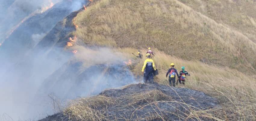 Mitigan incendio forestal en Parque Nacional Henri Pittier