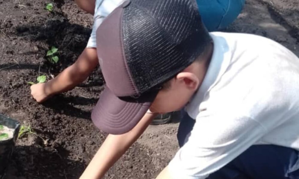 Realizan taller de extracción de semillas a niños de Yaracuy