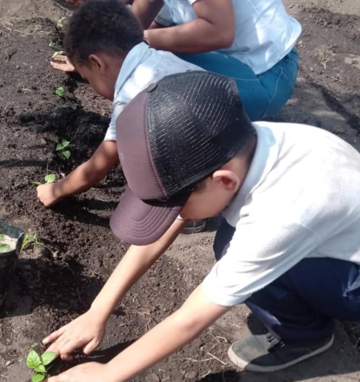 Realizan taller de extracción de semillas a niños de Yaracuy