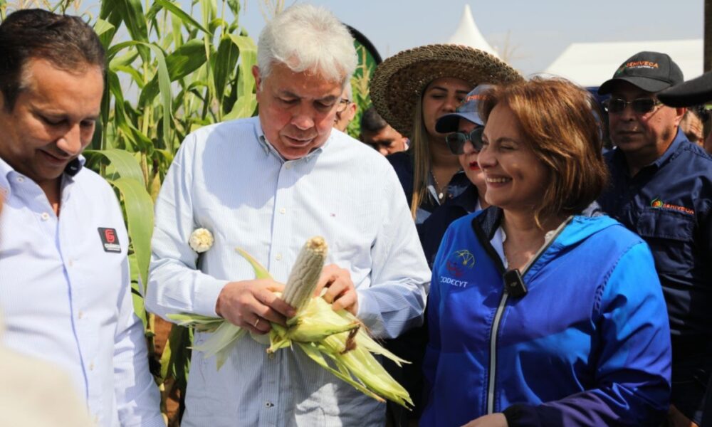 Lanzan Plan para fortalecer Cadena Agroalimentaria de Maíz