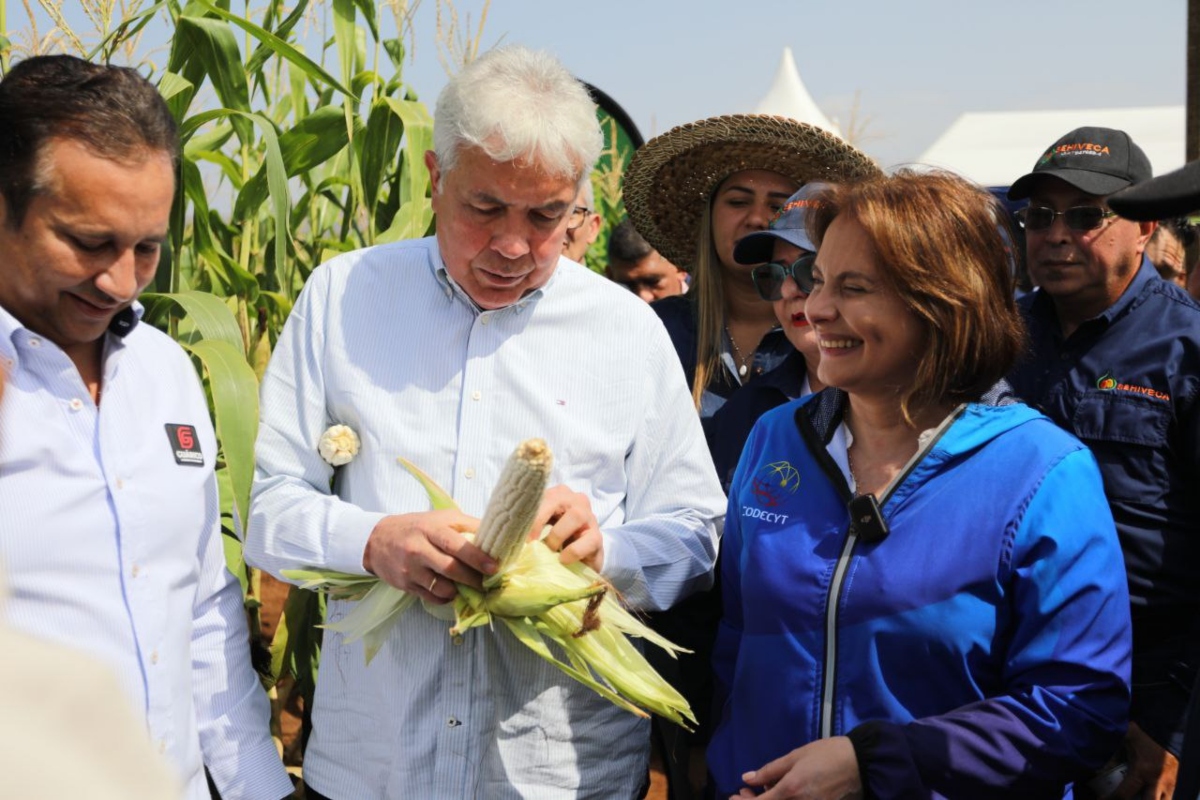 Lanzan Plan para fortalecer Cadena Agroalimentaria de Maíz