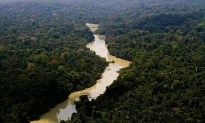 Brasil: Récord en disminución de la deforestación en la Amazonía
