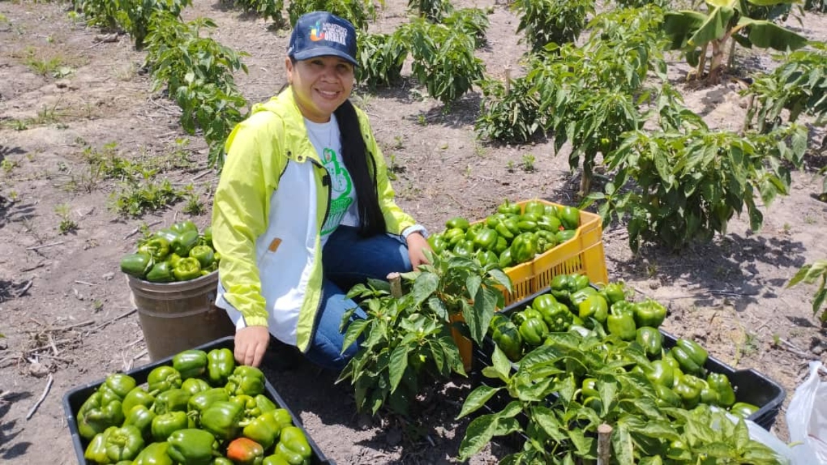 Cvaup ocho años de apoyo al productor agrourbano 