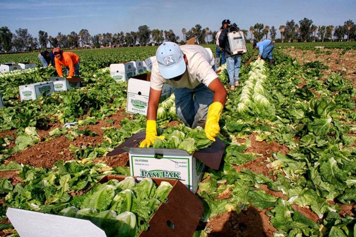 Impulsan producción agroalimentaria con perspectiva ecológica