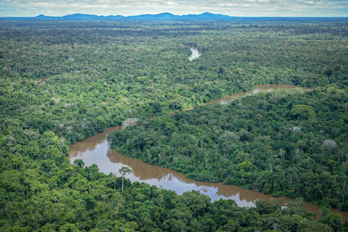 Brasil lanza ambicioso programa para combatir deforestación en Amazonía