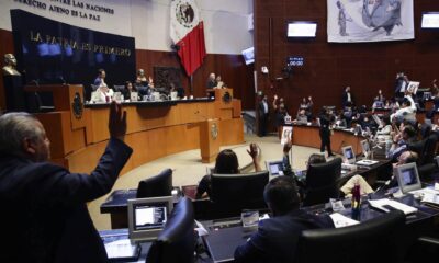 Senado mexicano prohíbe terapias de cambio de género