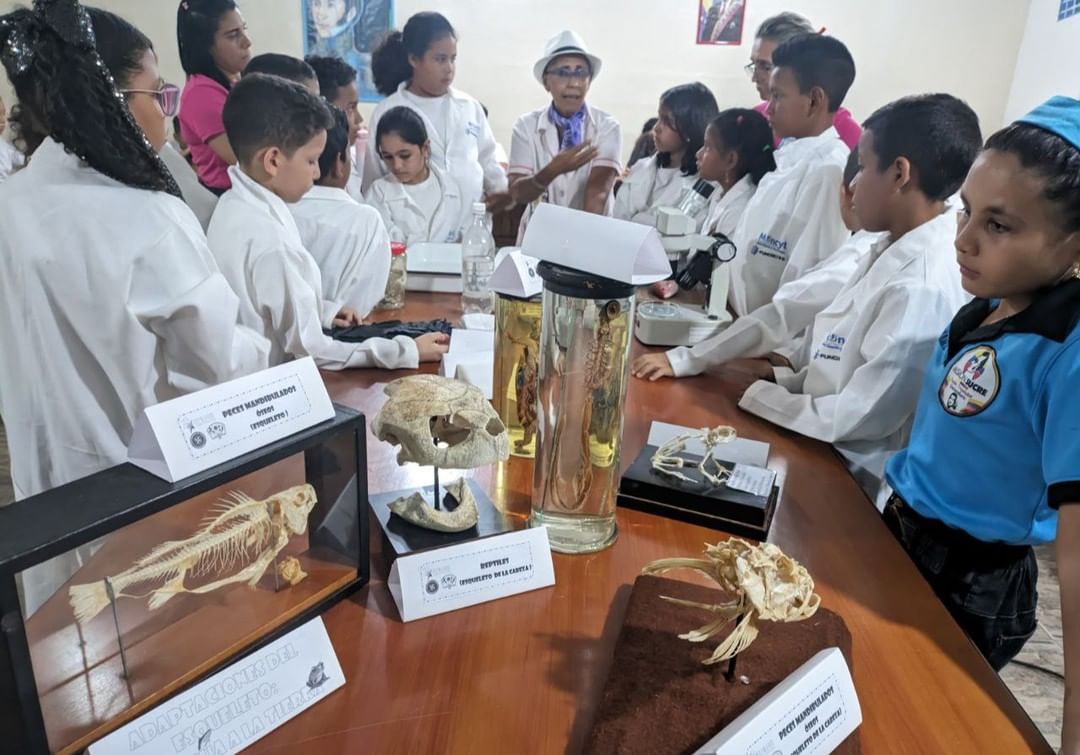 Ruta Marina fortalece conocimientos en estudiantes de Sucre