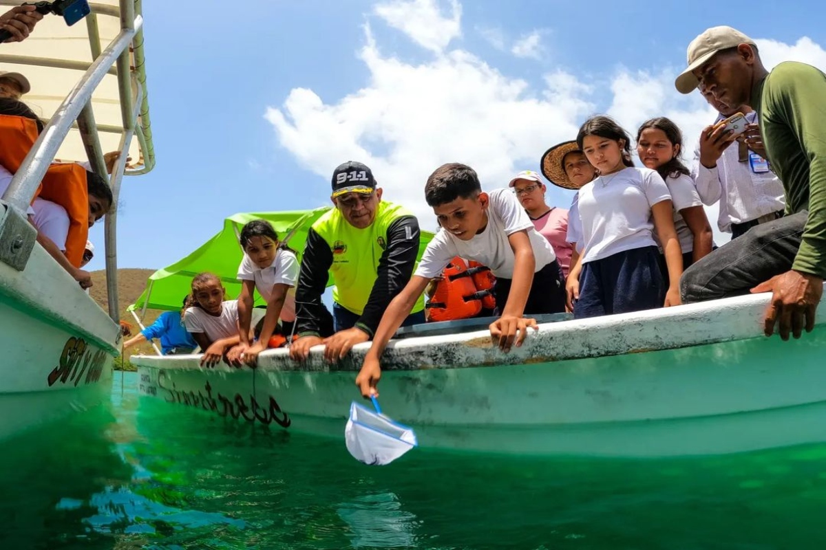 Estudiantes liberan Caballitos de Mar Hippocampus en Sucre