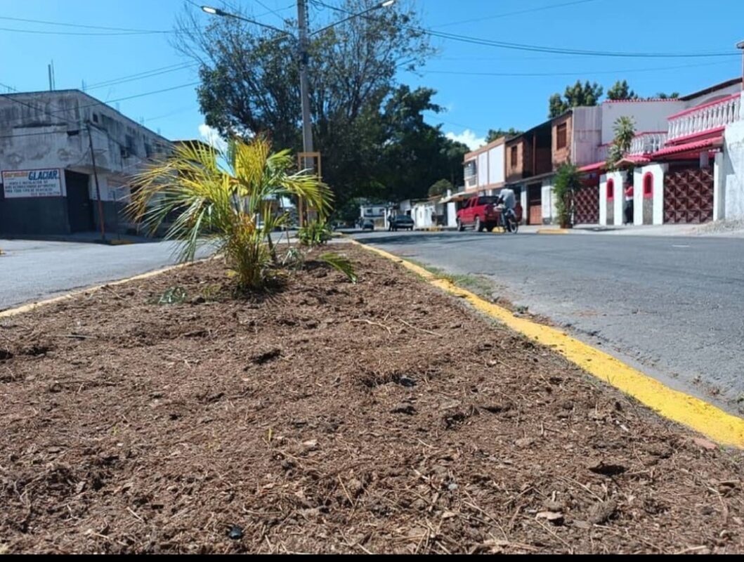 Maracay 
