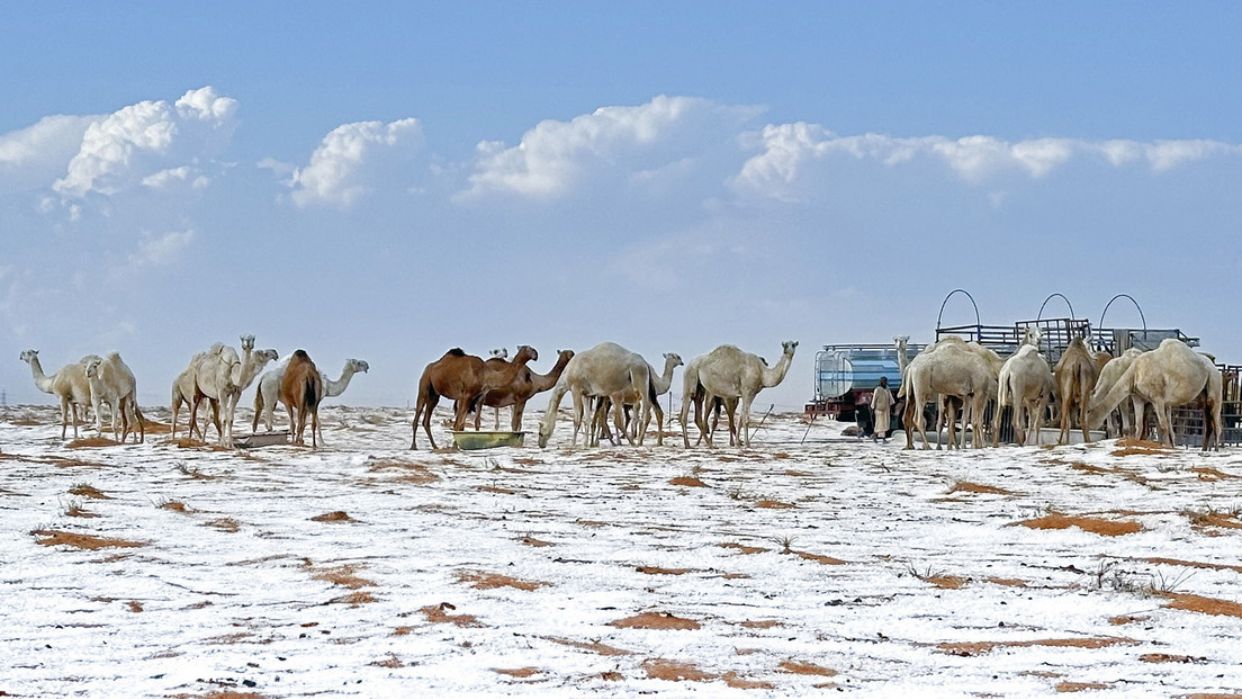 Desierto de Arabia Saudita registra primera nevada en su historia