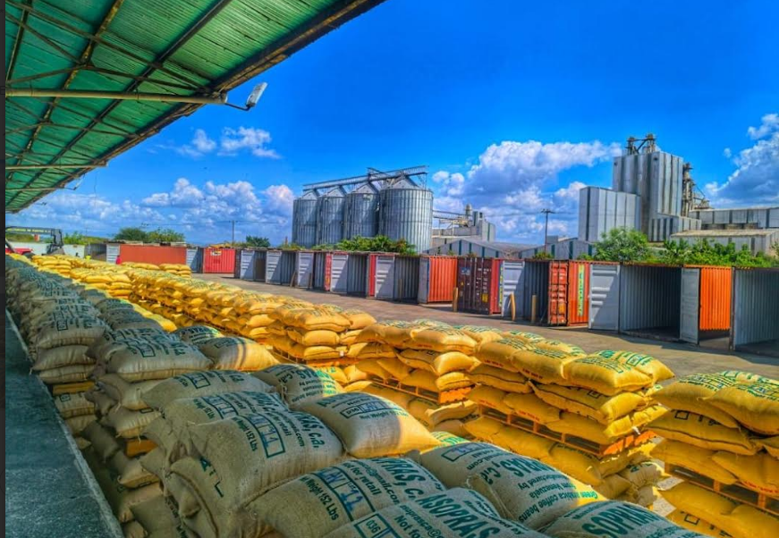 Emcoex Lara dinamiza el comercio exterior con exportación de café