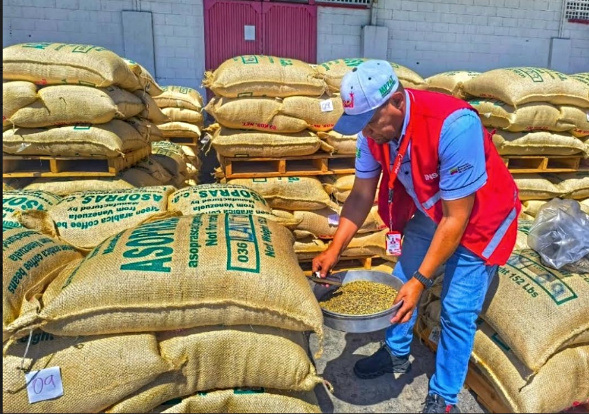 Emcoex Lara dinamiza el comercio exterior con exportación de café