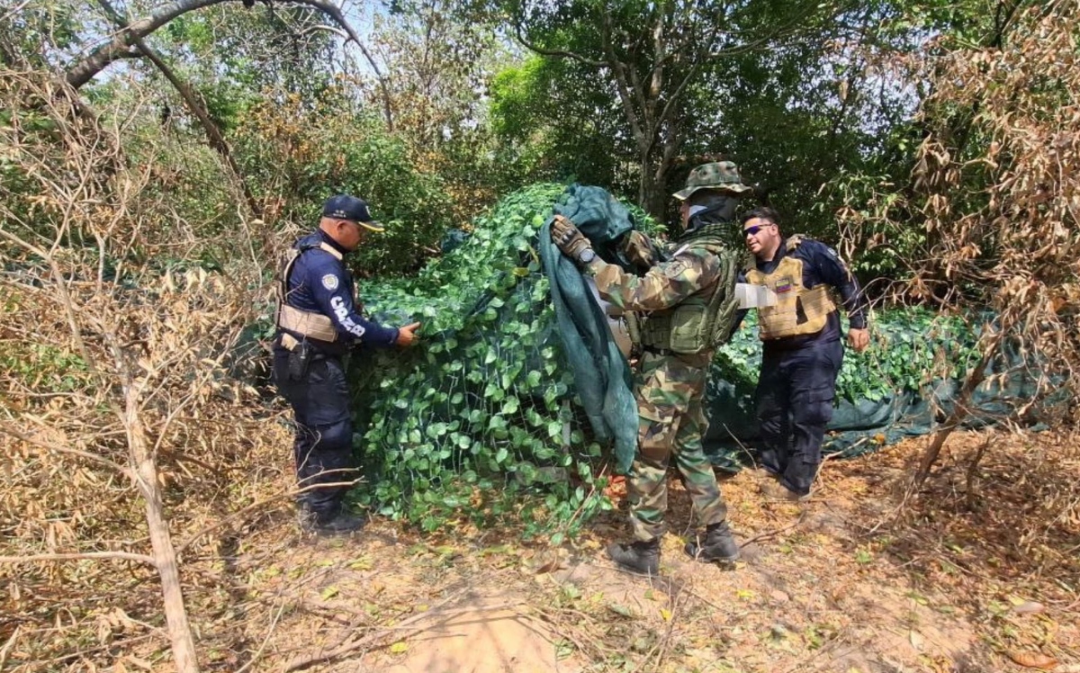 FANB inutiliza dos avionetas relacionadas con el narcotráfico