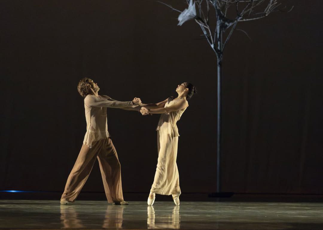Programación por el Día Internacional de la Danza