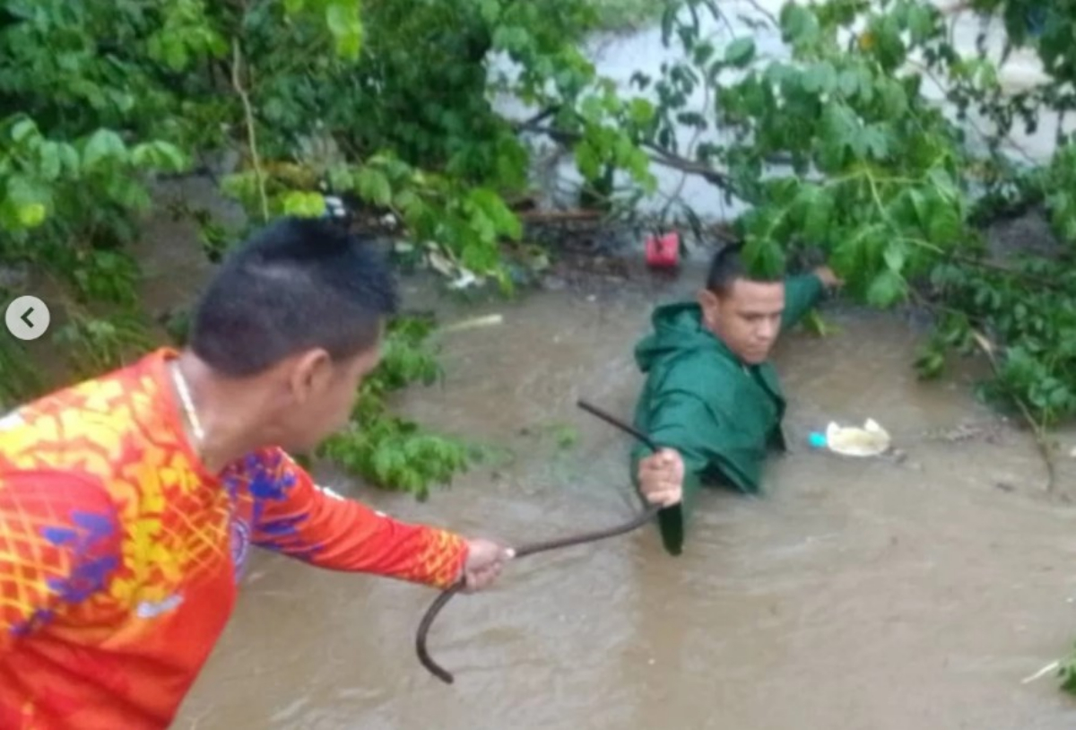 Atienden a afectados por fuertes lluvias en Portuguesa
