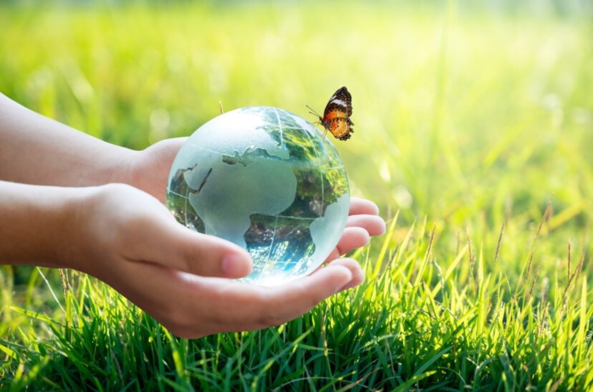 Día internacional de la Biodiversidad