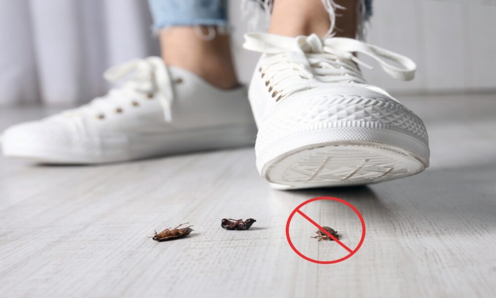 OMS advierte sobre riesgos para la salud si pisa una cucaracha