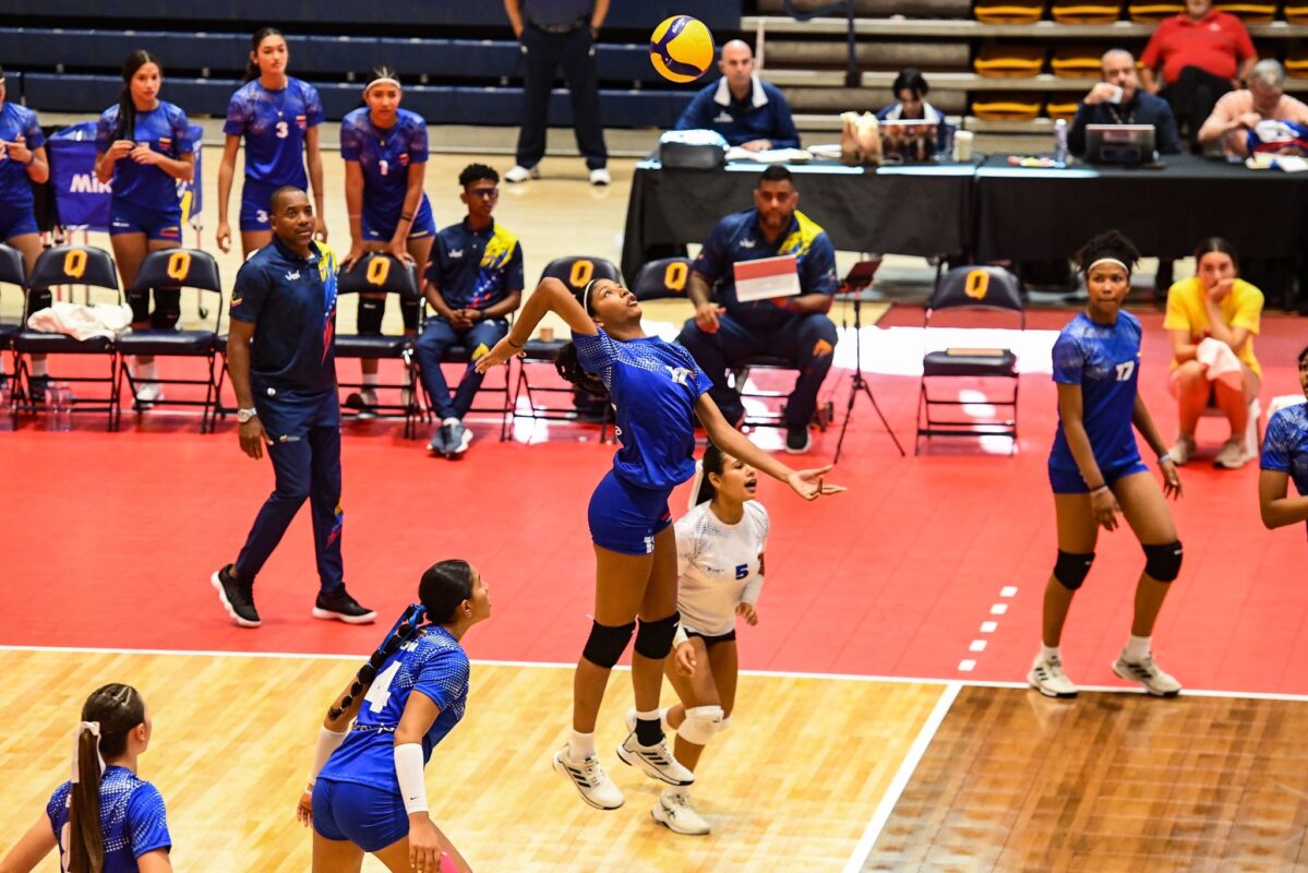 voleibol 