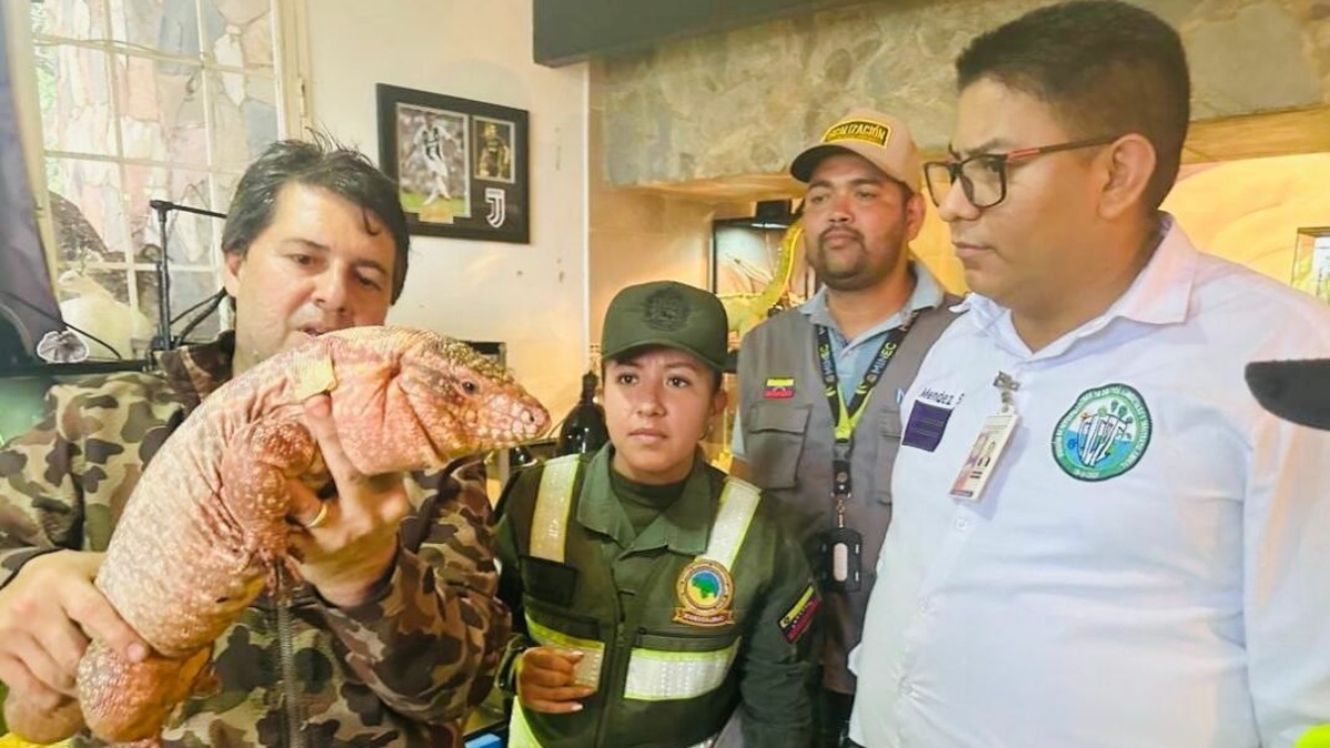 Decomisan más de mil ejemplares de fauna silvestre