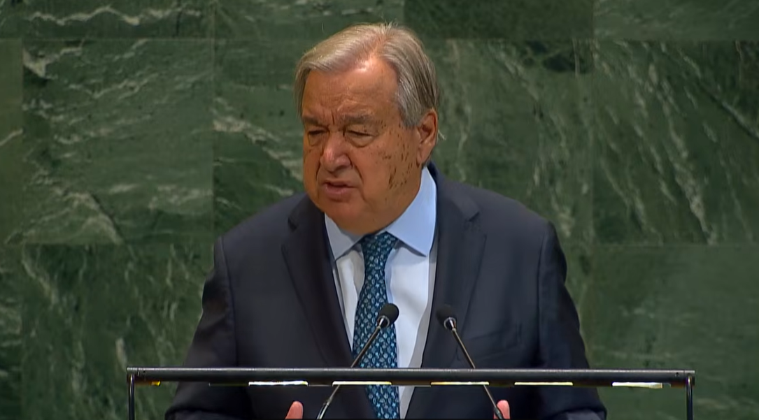 Asamblea General de la ONU