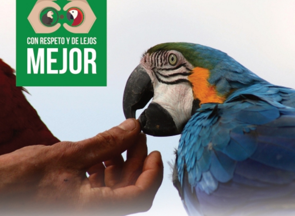 Inicia campaña formativa en protección de la fauna silvestre