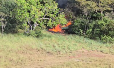 FANB inutiliza aeronave clandestina en el estado Apure
