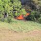 FANB inutiliza aeronave clandestina en el estado Apure