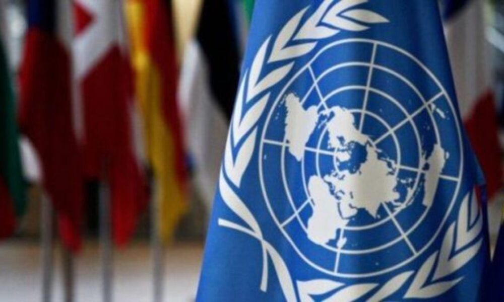 Expertos de la ONU critican presión de EE.UU. sobre Venezuela