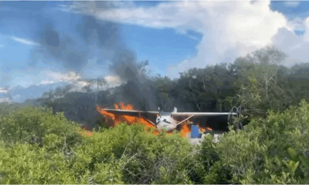 FANB destruye ocho aeronaves y cuatro campamentos del narcotráfico en Amazonas