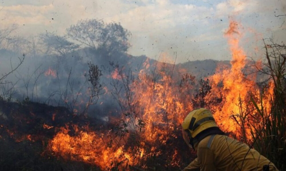 Inameh alerta sobre riesgos de incendios forestales
