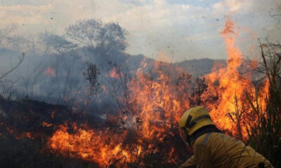 Inameh alerta sobre riesgos de incendios forestales
