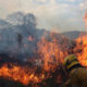 Inameh alerta sobre riesgos de incendios forestales