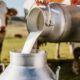 Industria láctea prevé exportación de productos bufalinos en 2026