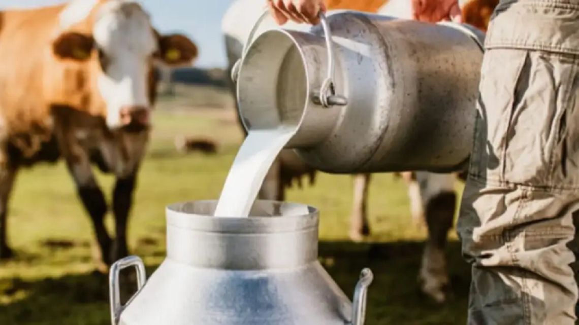 Industria láctea prevé exportación de productos bufalinos en 2026