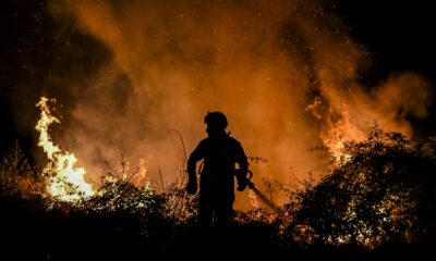 Incendio forestal en Los Teques está totalmente controlado