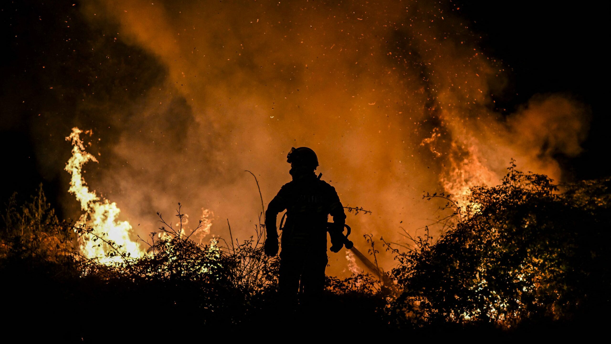 Incendio forestal en Los Teques está totalmente controlado