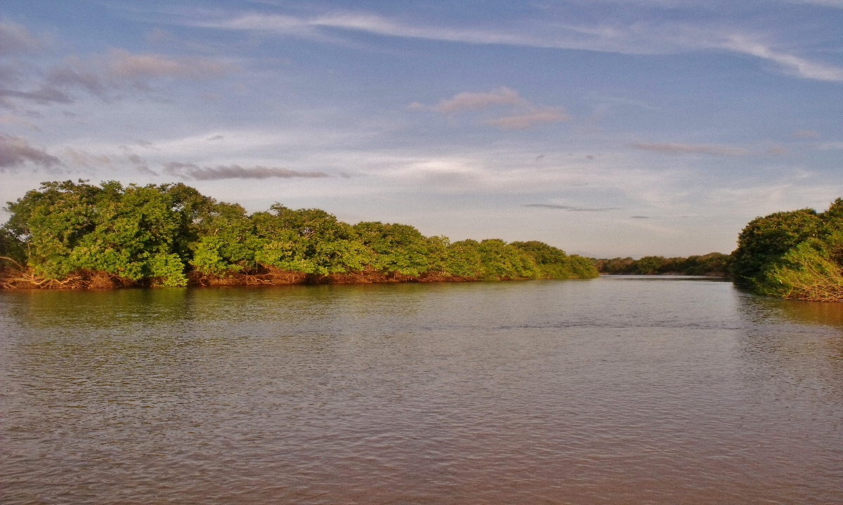 Apure destaca como atractivo turístico en los carnavales 2026