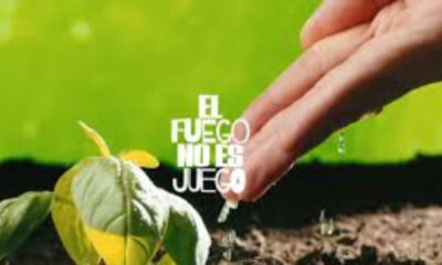 Minec activa campaña contra incendios provocados