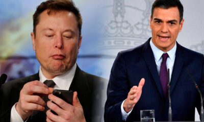 Musk Sánchez