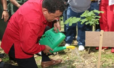 Chávez
