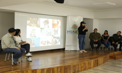 Minec pone a disposición nueva web para denuncias ambientales