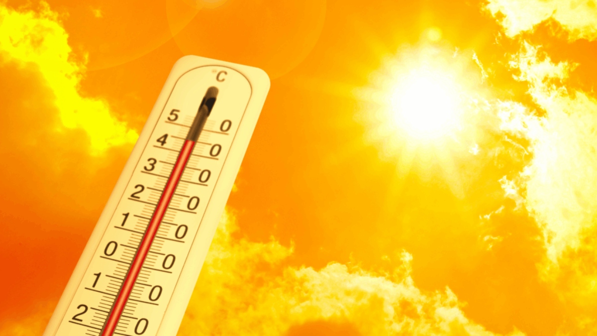 Toma estas medidas ante la llegada de altas temperaturas